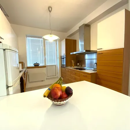 Zaimov Penthouse With Great View *